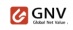 Global Net Value logo