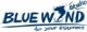 Blue Wind logo