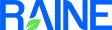The Raine Group logo